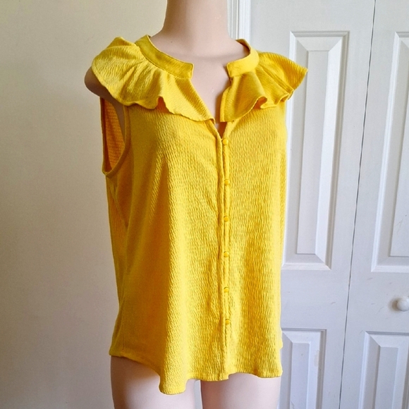 3/$20 Melissa Paige Sunlit Ruffle Blouse Size Large - Picture 1 of 7